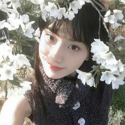 心之动力学