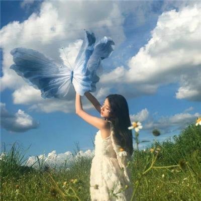 视点锋汇